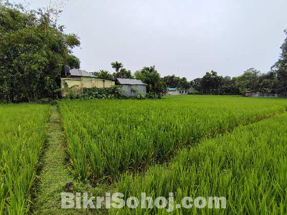 ৬ শতাংশ জমি বিক্রিয় হবে।